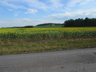 July 18.  On the way back to the motel, we drive by the gorgeous fields of sunflowers.
It was sure a great four days of operations!