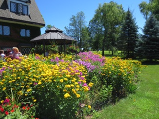 Barb has a great looking garden!
