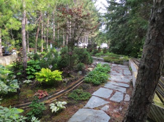 July 20.  Day 4, Sunday. We visit Doug's Northland Railroad in Manitick.
His garden just gets more lush every year!