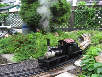 July 20.   I brought my log cars from Virginia.