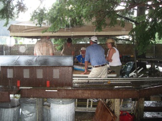 July 17.  Taking some shelter from the rain.