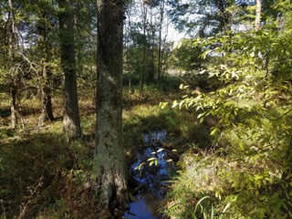 We stop here each year to check out the birds.  Not very many this year, although we did see some Flickers, Blue Jays, and Chickadees.   But, it's a great place to just walk around for a bit and certainly not your typical rest area.