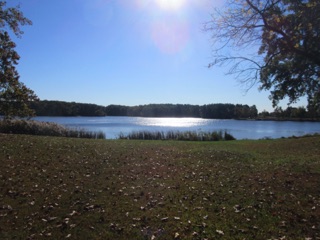 October 17.  Saturday is the "Official" start of operations. Jean and I first went birdwatching at Washington County Lake just a few miles from Andy & Jane. Not a lot of birds, but very pretty.