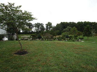 October 13.  Driving up to the house, we just get a great impression about how much the plants have grown over the years.