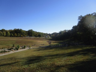 October 19.   Looking more to the right, we can see the site of the future pond.