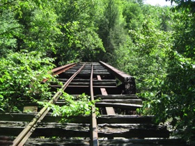 But, our foot travel was stopped by a bridge that sure didn't look safe enough to walk on.