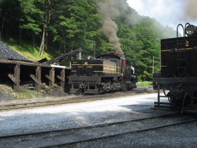 They have a number of standard gauge logging locomotives.