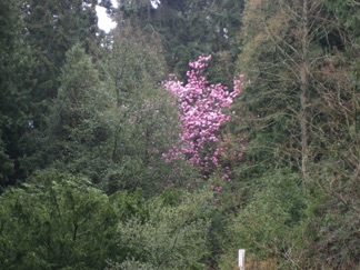 April 4.  Signs of spring!