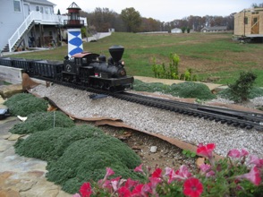 There are still flowers blooming in November.