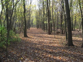 November 5.  Saturday.   Jean and I take a short hike.