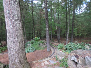 August 7.  This is a very difficult railroad to photograph. It's hard to show the long runs in the woods. We probably had 10 trains running but it seemed like no one was around. 
