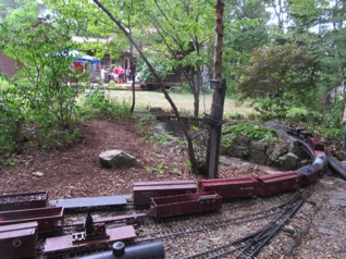 Bat House Yard is a VERY busy place so we have to wait for our train to be built. Meanwhile, other trains are arriving and departing.