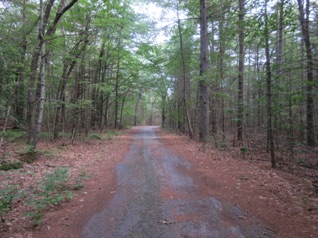 Not many birds, but certainly LOTS of bugs. So we don't go up the road too far...