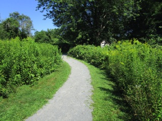 Everything was well maintained.