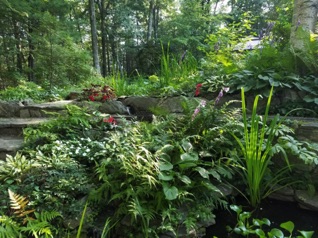 Everything seems so lush.