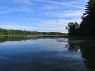 August 16.  On Friday morning Jean and I headed over to Assabet River National Wildlife Refuge.