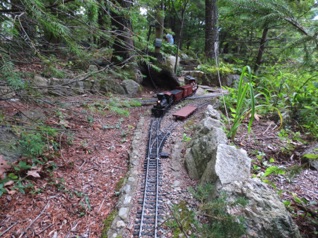 August 18.  Down the grade near Burning Rock.