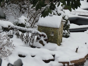 January 27.  Smith Pond Mill is under an oak tree.