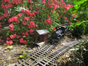 May 4.   The azaleas are in bloom.
