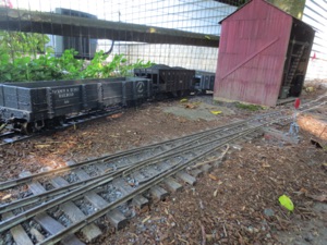 August 5.  The Bucket Coaling station in Jackson.