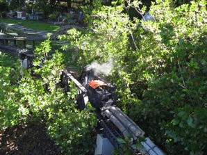 My live steam Shay approaching Jackson from the Lexington loop.