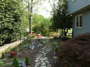 April 25 and the azaleas are in bloom.