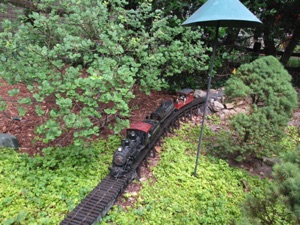 June 17, 2018.  Although the trestle still looked pretty good, it required a lot of mainteance.

The problem is that I hand spiked the rail to the ties and EVERY year I have to re-seat the spikes. I just finished putting on a coat of boiled linseed oil on it, to help preserve the wood (cedar), but noticed that the trestle bents are rotting away.

It IS a cool looking trestle, but I want something that doesn't require as much maintenance.